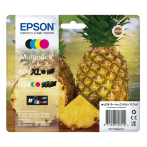 Epson 604XL Multipack
